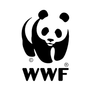 img-logo-wwf-panda-transparent WWF logo.