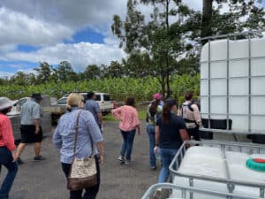 People at an open day during Project Catalyst's Cairns Forum 2023.